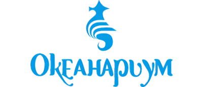 Океанариум Спб